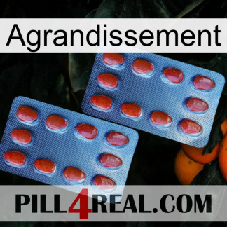 Enlargenexx 05